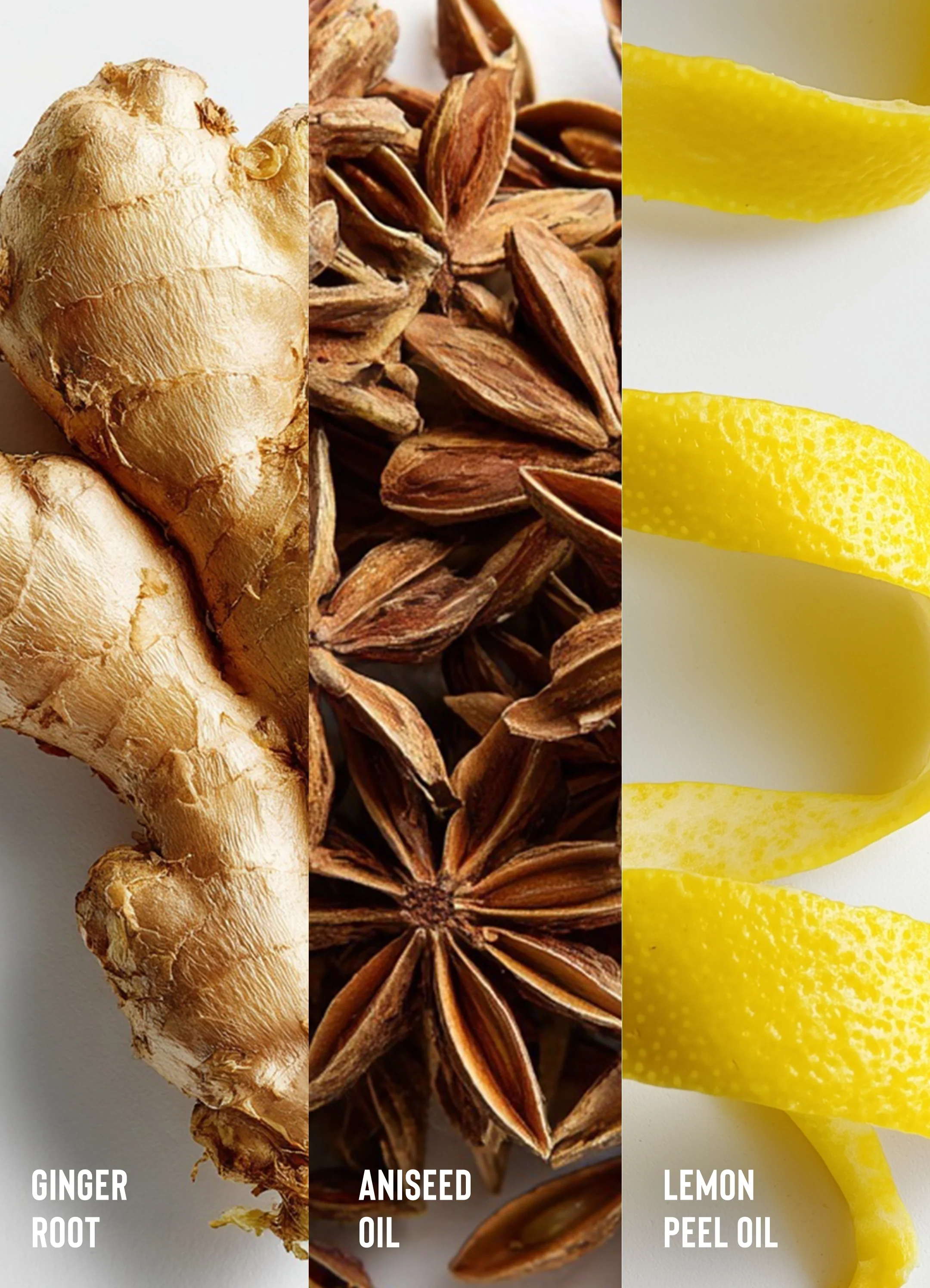 Sweet Ginger Cleansing Rinse - Image 5